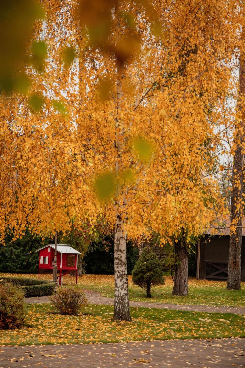 Veselyj Zajets Hotell Pirnove Exteriör bild